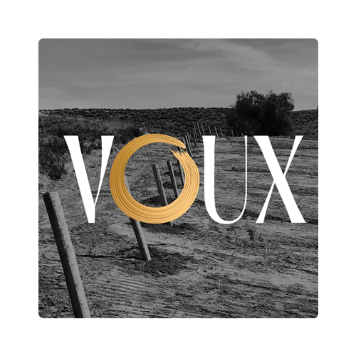 voux logo