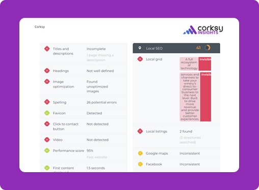 corksy insights website audit